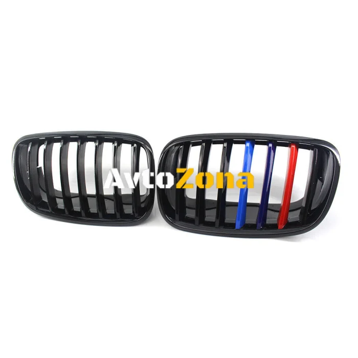Grile cu M-Design pentru BMW X6 E71 (2008-2014)