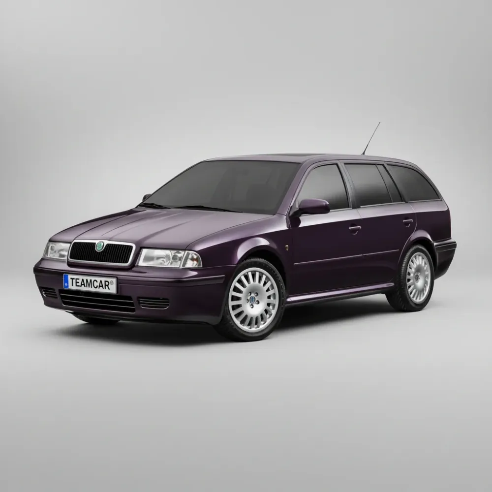 Stergatoare Skoda Octavia Combi (1996–2004) TeamCar® Flat – Set fata