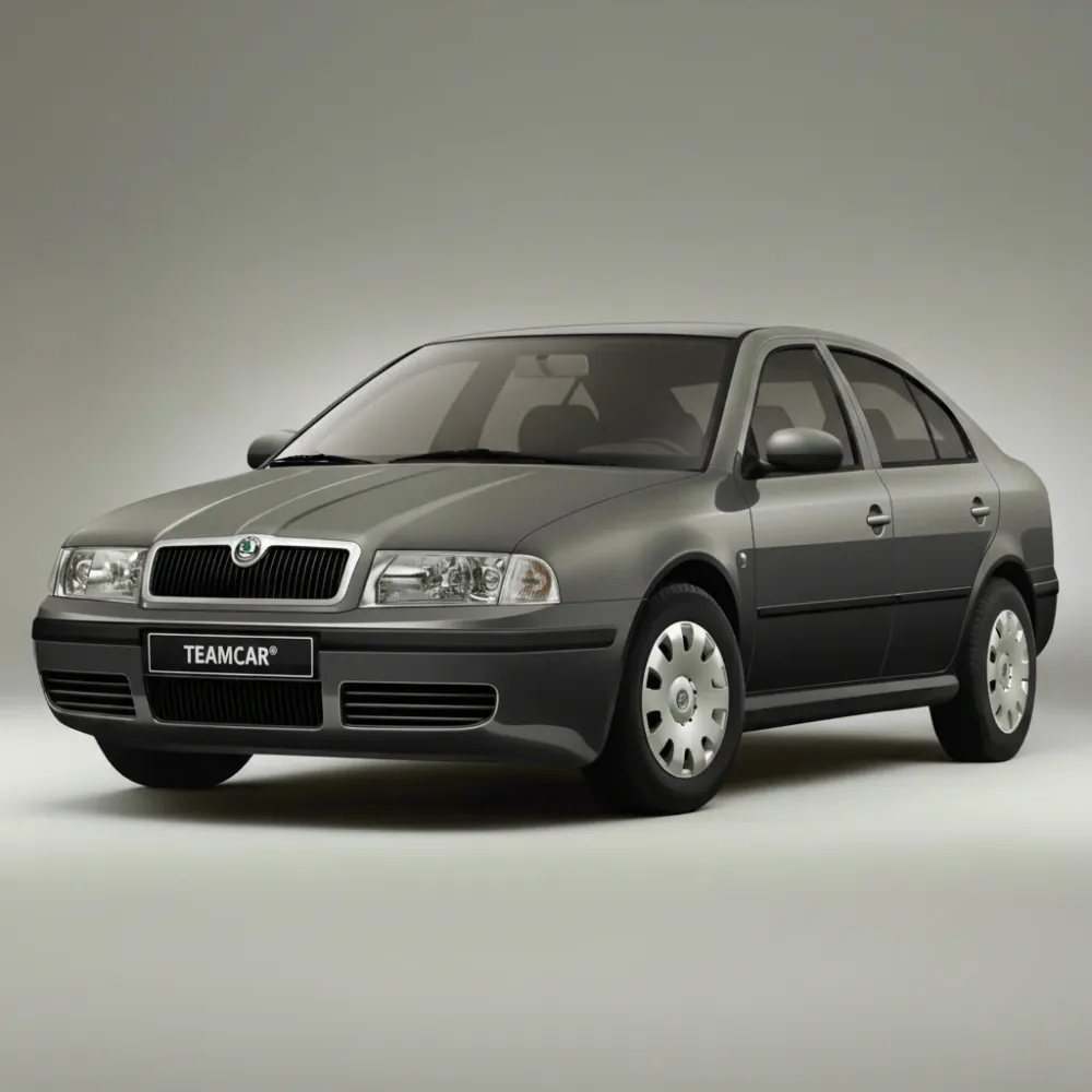 Stergatoare Skoda Octavia Tour (1996–2004) TeamCar® Flat – Set fata