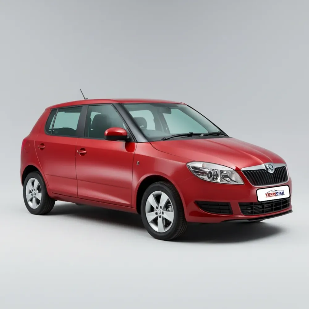 Ștergătoare Skoda Fabia II Hatchback (2007–2014) – Set față